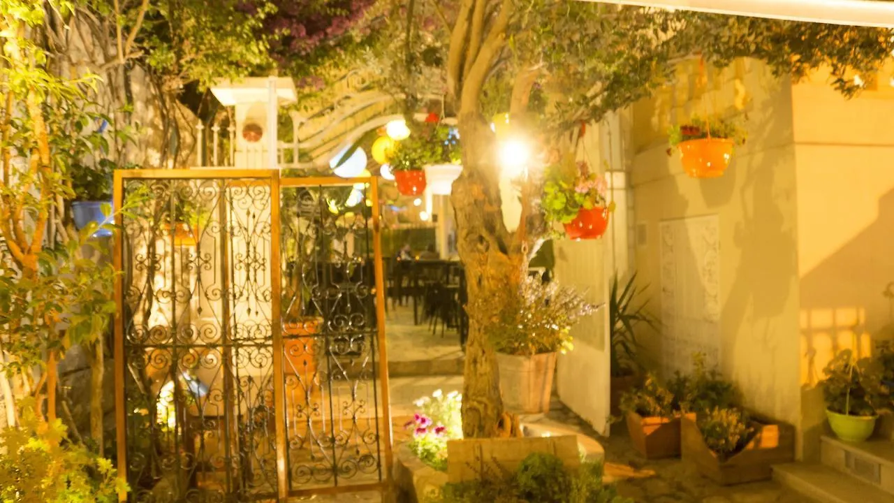 Hotel Lafayette Tunis Tunisien